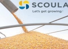 Thumbnail for Scoular highlights progress made thus far in second annual sustainability report