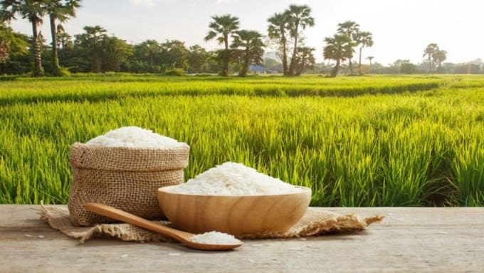Malawi launches second national rice development strategy with support ...