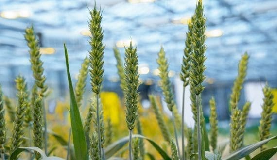 Thumbnail for Polish farmers intensify grain protests amidst Ukrainian competition concerns