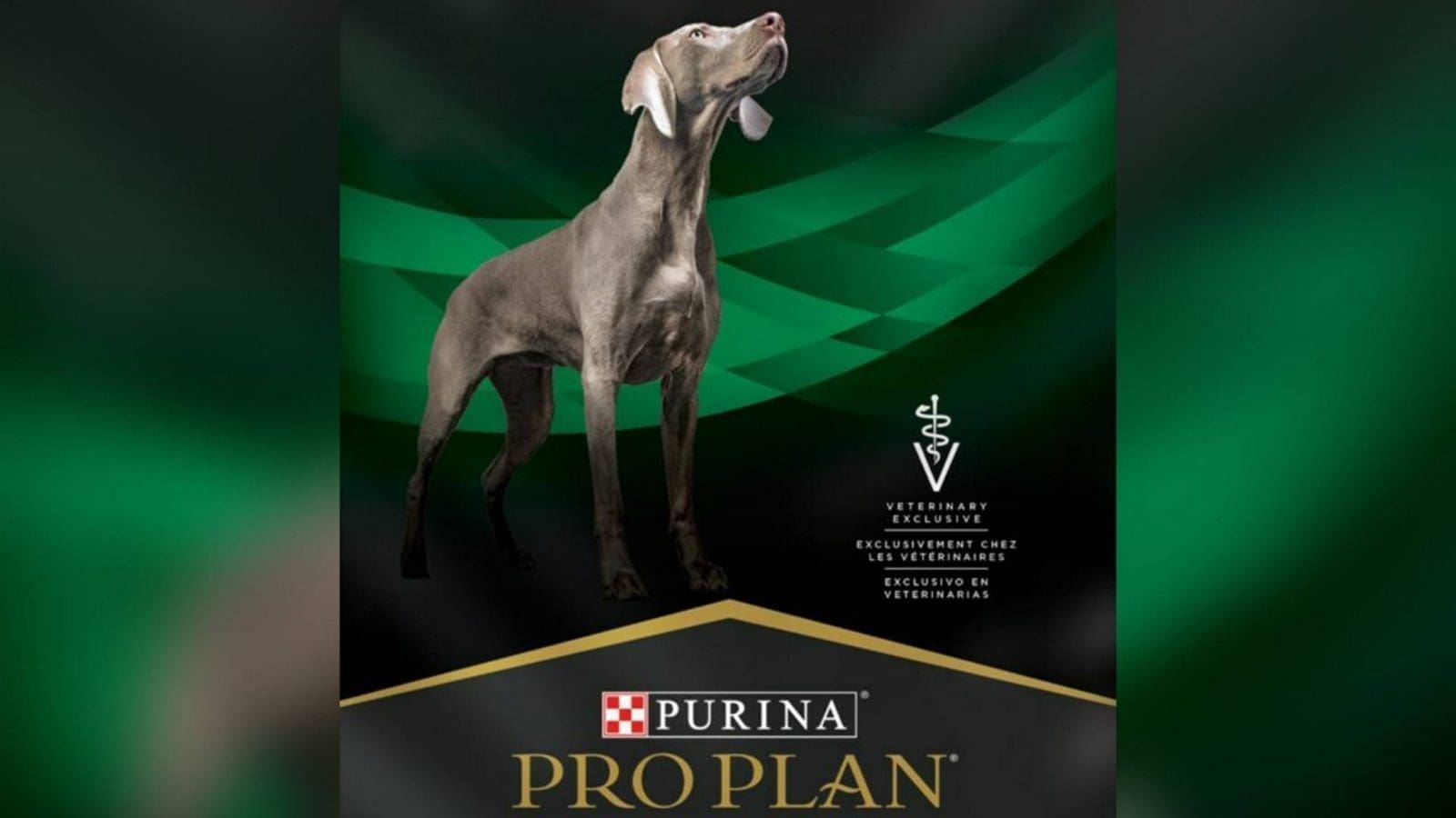 Thumbnail for Nestlé Purina voluntarily recalls prescription dry dog food; cites elevated vitamin D levels