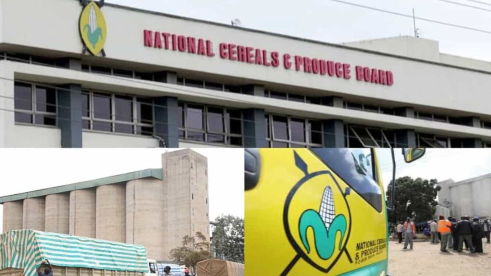 Thumbnail for NCPB opens countywide stores, pegs maize price at KES 4000 per 90kg bag