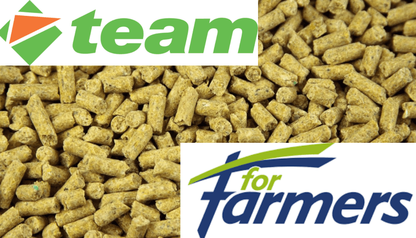 Thumbnail for ForFarmers, Team Agrar finalize German feed joint venture