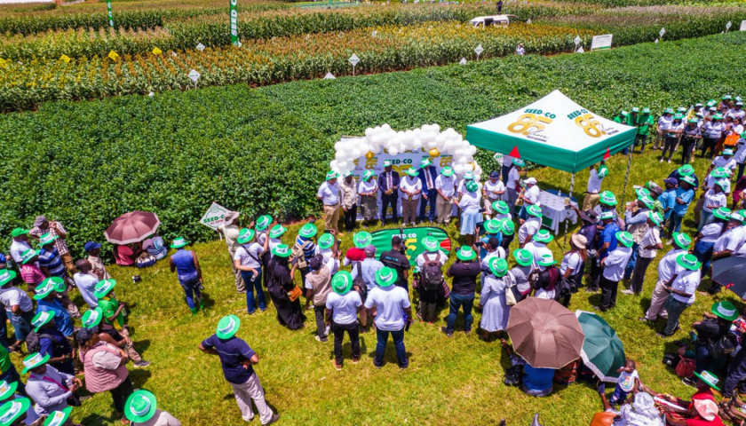 Thumbnail for Seed Co Zimbabwe celebrates 85 years of agricultural excellence, expansion