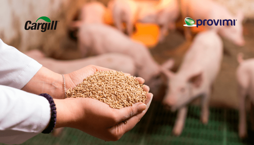 Thumbnail for Cargill to exit Romanian animal nutrition market in deal with Carmistin